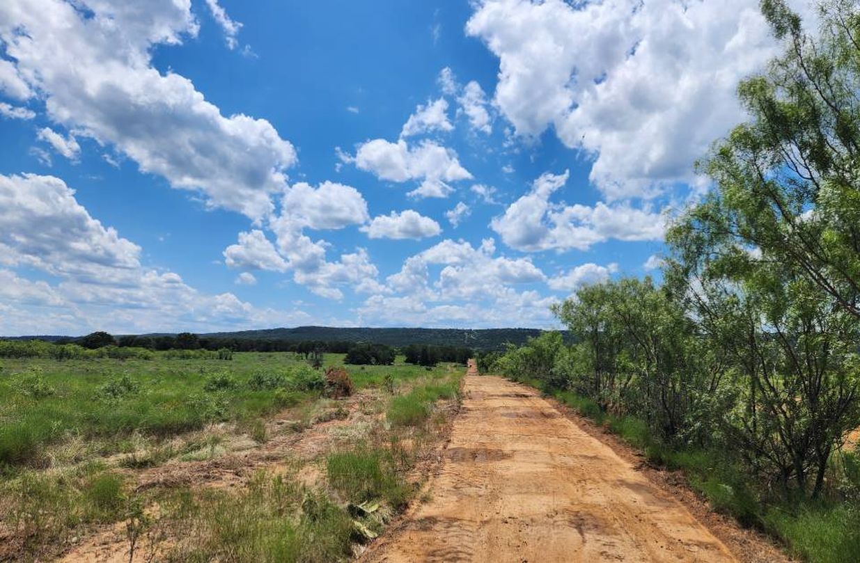 Land Clearing 3